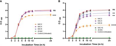 Gentamicin Augments the Quorum Quenching Potential of Cinnamaldehyde In Vitro and Protects Caenorhabditis elegans From Pseudomonas aeruginosa Infection